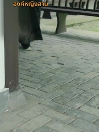 [พากย์ไทย] ชั่วชีวิตนี้ข้าคิดถึงแต่ซิงเฉิน - Episode 39