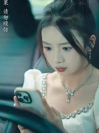 第35集 - 離婚後，我帶四崽炸翻前夫家