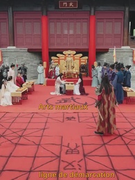 Le Retour du Phénix - Episode 63