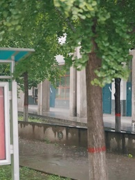 第22話 - 来いよ 愛も復讐も