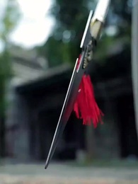 第10集 - 霸王槍