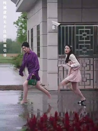 第13集 - 重生之追夫火葬場