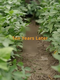 Episode 11 - The Sunny Winter