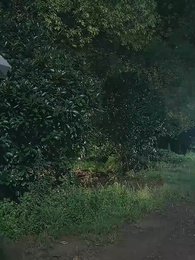 穿回80我帶文工團全員出道了 - Episode 11