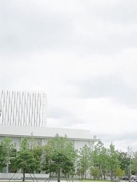 53화 - 꿈속의 운명