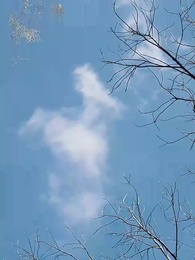 第31集 - 昭昭殊榮