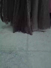 第15集 - 我的身體裡住了只鳳凰