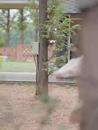 第22集 - 陌上花開