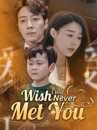 Wish I Had Never Met You