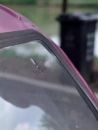 第48集 - 陌上花開