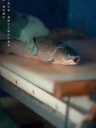 窮爸爸富爸爸之我爹在家藏了一千億 - Episode 21