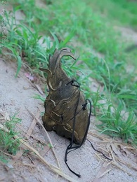 Conquest And Revenge - Episode 7