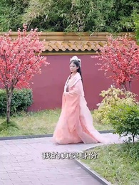 第9集 - 鸞鳳當歸