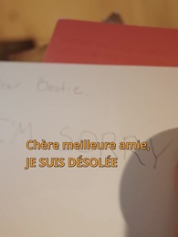 Épisode 36 - Obsédé par la princesse indésirable