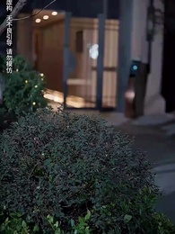 第54集 - 天降三寶，總裁老公壞又甜