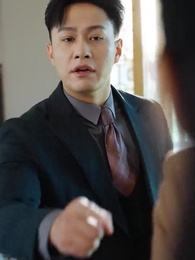 Episode 29 - The CEO's Relentless Pursuit