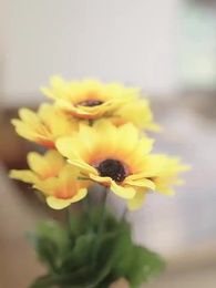 婚淺情深 - Episode 63