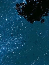 九王爺的告白 - Episode 30