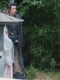 第27集 - 鳳還巢：冷王盛寵法醫妃