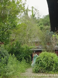 第51集 - 廢後歸來