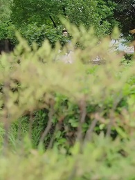 毒妃嫁到 - Episode 16