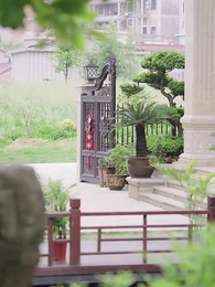 第51集 - 婚淺情深