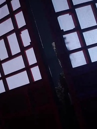 第67集 - 鳳還巢：冷王盛寵法醫妃