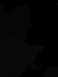 我愛你，星辰為證 - Episode 47