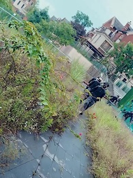 我的霸道美女房東 - Episode 93