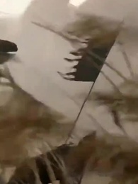 43화 - 불멸의 의지