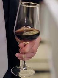 第51集 - 被虐離婚後,厲總跪求我回頭