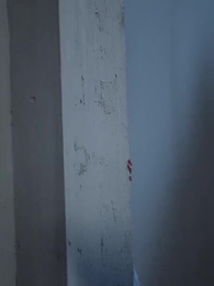 第71集 - 鳳還巢:冷王盛寵法醫妃