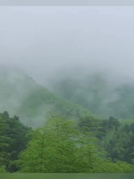 第36集 - 廚娘別跑：王爺放肆寵