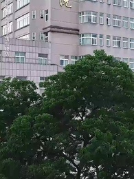 第58集 - 淨身出戶後我殺瘋了