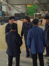 第25集 - 重生90有點甜