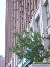 第25集 - 退婚後，她被財閥大佬嬌養了