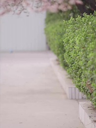 第100集 - 重生90有點甜