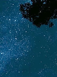 第39集 - 九王爺的告白