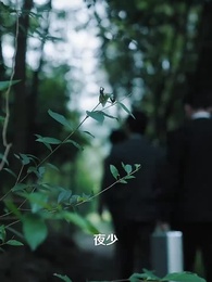 第2集 - 掉馬後,總裁傻妻颯爆了