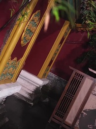 第63集 - 毒妃嫁到