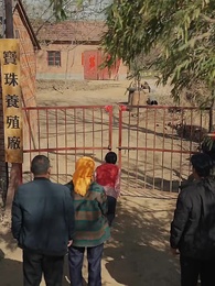 第37集 - 重生90有點甜