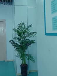 第77集 - 我爸是九州首富