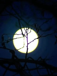 第38集 - 跨世小神醫