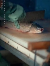 Episode 21 - Poor Dad & Rich Dad