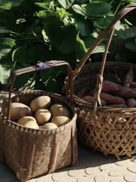 Kehangatan di Tengah Cuaca Dingin - Episode 56