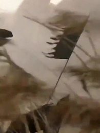 長生の身を九州に捧ぐ - Episode 43