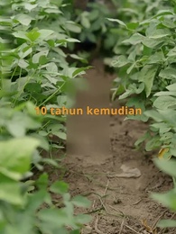 Episode 11 - Kehangatan di Tengah Cuaca Dingin