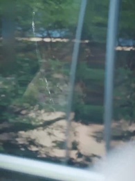 37화 - 너는 내 운명