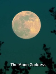 Episode 70 - Treasured By My Alpha Brother