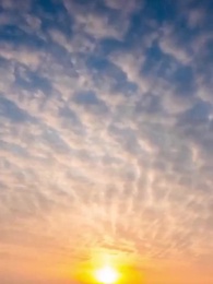 武林盟：野村徹の伝説 - Episode 47